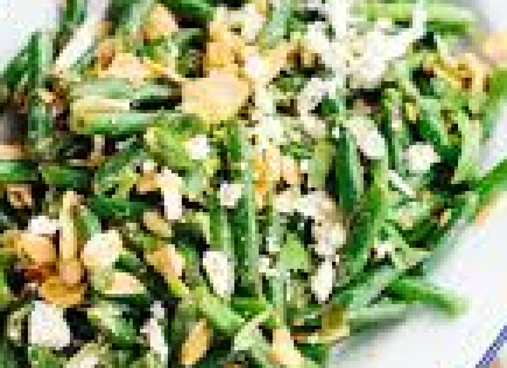 Minted green bean salad