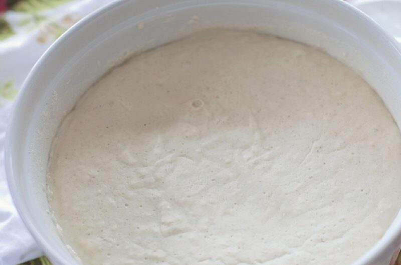 sourdough starter